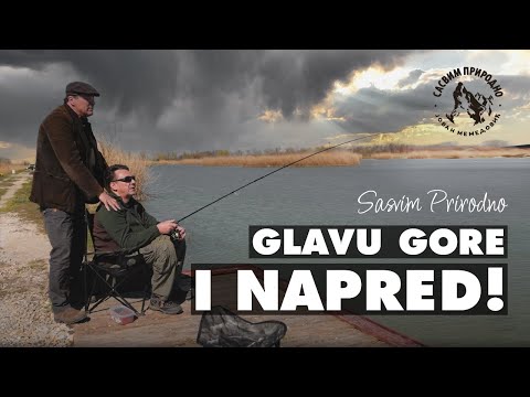SASVIM PRIRODNO: Glavu gore i napred