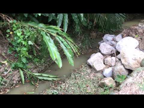 110.05.31  自主防災隊巡視(1)