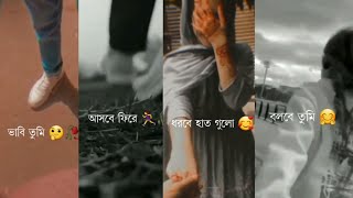 ভাবি তুমি আসবে ফিরে (Female version) || aesthetic status Bangla || shesh kanna || Tanveer Evan || TE