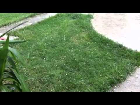 Ploaie cu ghiată in Valcani