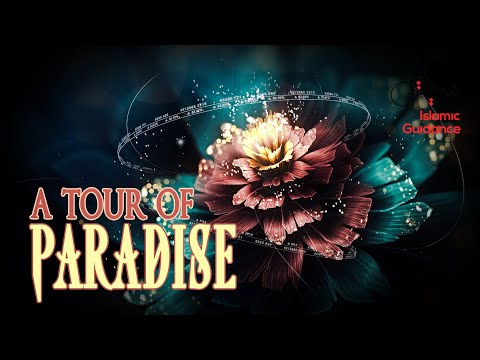 A Tour Of Paradise