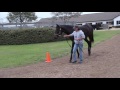 Believe Land In Ocala March 2017
