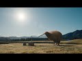 Stop Dreaming About New Zealand And Go