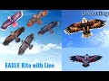 Eagle Kite With 30 Meter Kite Line Unboxing