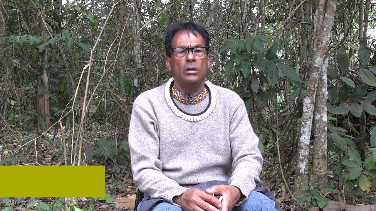 A Ciência que eu Faço - Ailton Krenak (2)