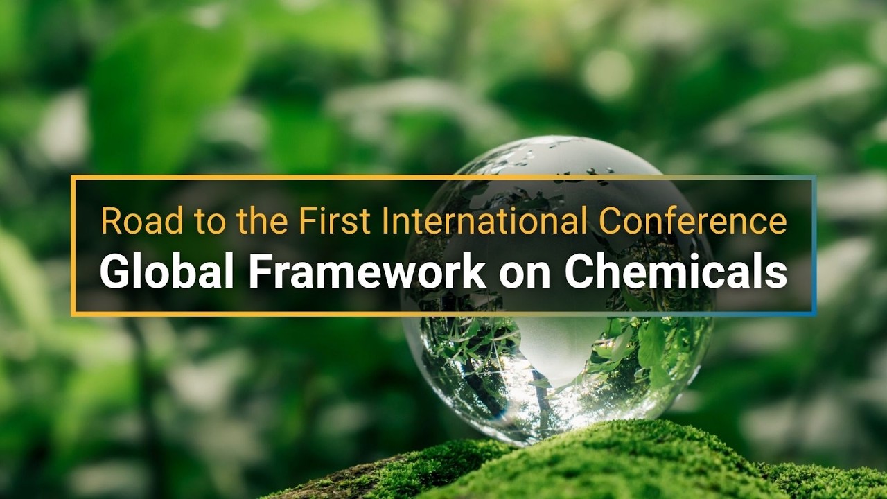 Road to the First International Conference of the Global Framework on Chemicals