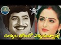 Chukkala Thotalo చుక్కల తోటలో Allari Bullodu 1978 S P Balu P Susheela Chakrava