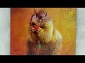 Groundhog Spirit✨Daily Message - Spirit Animal Oracle Guidance #groundhog #spiritanimal #animals