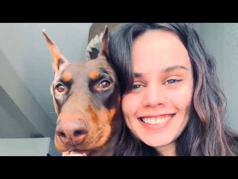 Denne 80 lb Doberman blev udsultet og i bur i 2 år - indtil en kvinde holdt hende for første gang