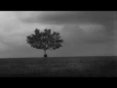 Der Blaue Reiter ~ Words of Silence