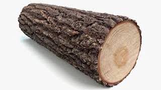 &quot;The Log Song&quot;  || Ren &amp; Stimpy