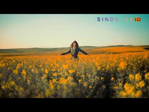 Deneth aga mal....... Sudam Chamara.