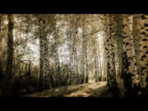 Andjelka Olgina Mandić