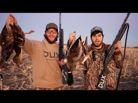 Kansas Evening Corn Field Mallard Duck Hunt with Braydon Price!