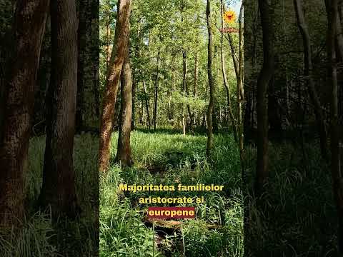 Crezul Moldovenilor Partea 6