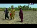 DaRdan jo darya and cilps funny Geo NaveeD LakhiaR 1 video download