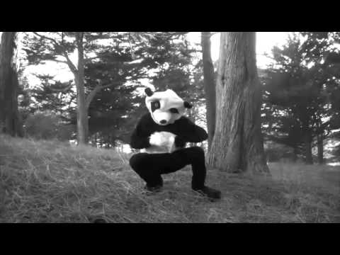 Pandas vs Ninjas fans video
