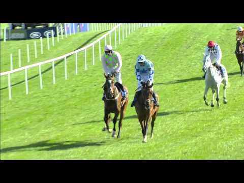 Punchestown Festival Day 1 Highlights