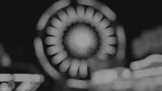 Songdog - It's Not A Love Thing (Radio Edit)