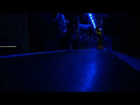 Park's of Hamilton (National Express) Volvo B13RT/Plaxton Elite PP3 LSK825