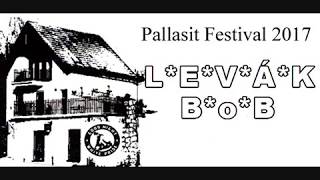 Video Levák Bob, Pallasit Festival, 9 6 2017