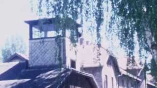 The Pineapple Thief - Resident Alien (Unused video)