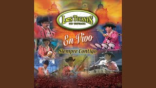 Siempre Contigo (En Vivo)