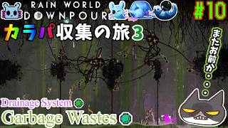 【☔轟くRainworld】ハイスピードナメクジ10-カラパ収集の旅3【Downpour/リビュレット/②Drainage System→③Garbage Wastes】
