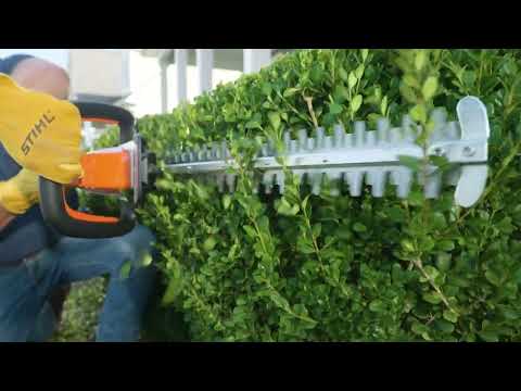 Stihl HSA 30 in Angleton, Texas - Video 1