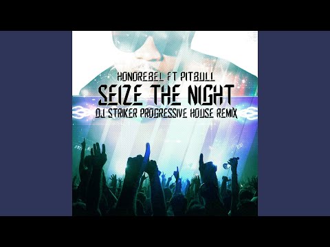 Seize the Night DJ Striker Progressive House Remix (feat. Pitbull & Striker)