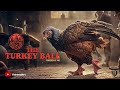 TURKEY BALL TEASER