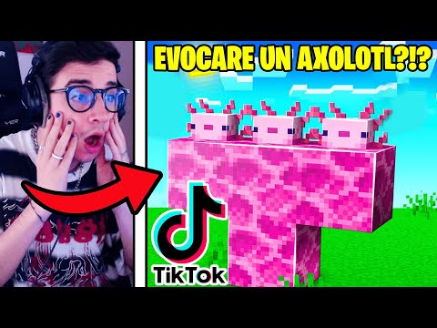 10 TIKTOK *SEGRETI* DA USARE SU MINECRAFT 1.17!!