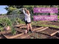 The Tomatoes Are In! | Allotment Vlog 🍅  Ep.19 🍅
