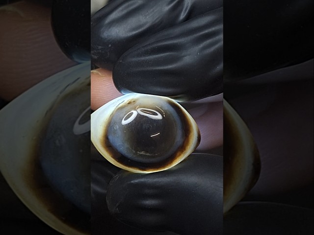 حجر عقيق سليماني هيئة عين