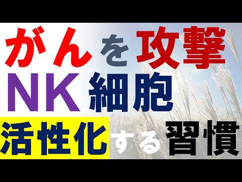 研究:ナノロボットがマウスのがん細胞と戦うことに成功