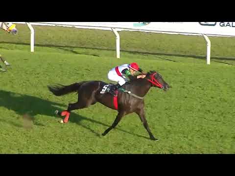 231007 c06 GP Latinoamericano 2023/ DOUTOR SUREÑO (BRZ)