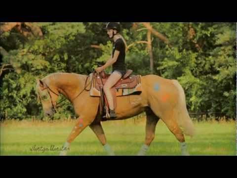 my little birds ♥ [200]