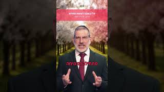 לצמוח מחדש: ט"ו בשבט עם הרב אורי יפה🔥 (ארגון ערכים) - התמונה מוצגת ישירות מתוך אתר האינטרנט יוטיוב. זכויות היוצרים בתמונה שייכות ליוצרה. קישור קרדיט למקור התוכן נמצא בתוך דף הסרטון