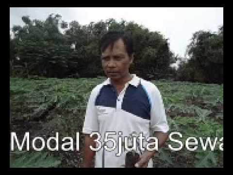 Dia mengeluh tentang penis kecil Bagaimana meningkatkan ukuran penis