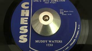 muddy waters - she&#39;s into somethin&#39; (chess)