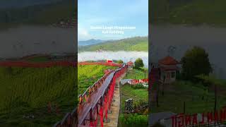 Download lagu Keindahan Taman langit Pangalengan #tamanlangit #pangalengan #bandung #jawabarat #wisata mp3