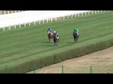 2017.08.06. 4. futam - REGATTA DÍJ (II.kat.)