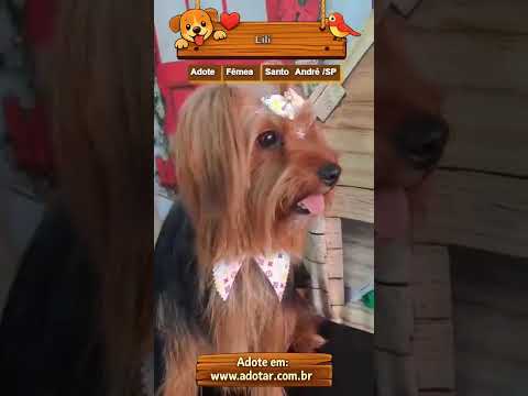 Vídeo de Lili