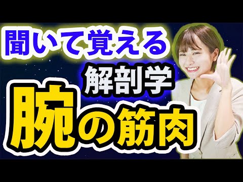 医学科 【解剖学】聞いてるだけで記憶に残る！解剖学の「腕の筋肉」について