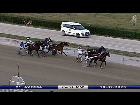 Aversa trotto 18 Febbraio 2023 - 7° Corsa