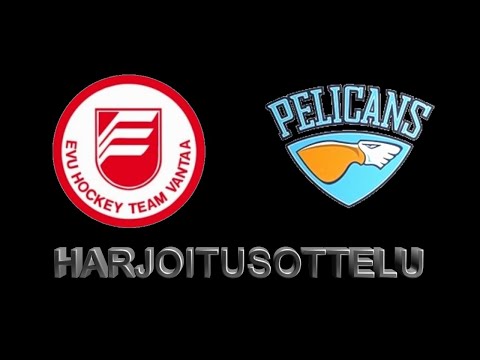 EVU U14 AAA vs PELICANS. LIVE