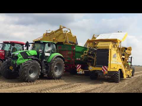 XXIV Dni Ziemniaka Kalinowa 2017 - Wysyp ziemniaka ROPA KEILER 1 & KEILER 2