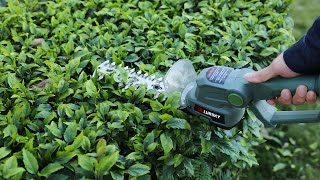 How to Trim Bushes Fast? Check Out TOP Hedge Trimmers You’ll Use!