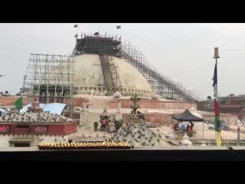 20 Monks in a Hammock - Happy New Year 2073