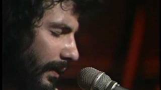 Cat Stevens - If I Laugh
